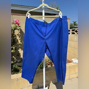 Talbots Royal Blue Chino Pants